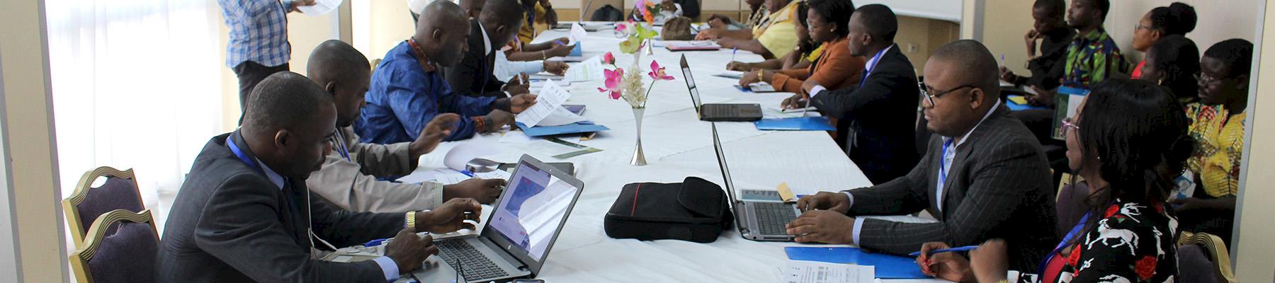 Participants at the workshop evaluate the outcomes of the project working to reduce illegal timber supply chains between Cameroon and China