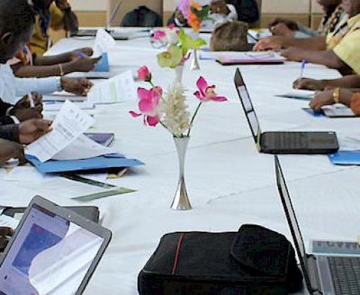 Outcomes of Cameroon–China timber trade project evaluated