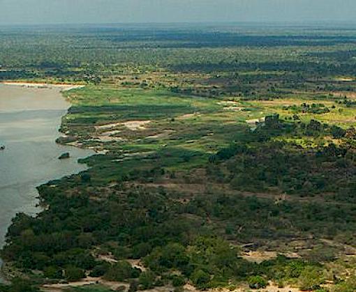Forestry, governance and national development: Lessons learned from a logging boom in southern Tanzania