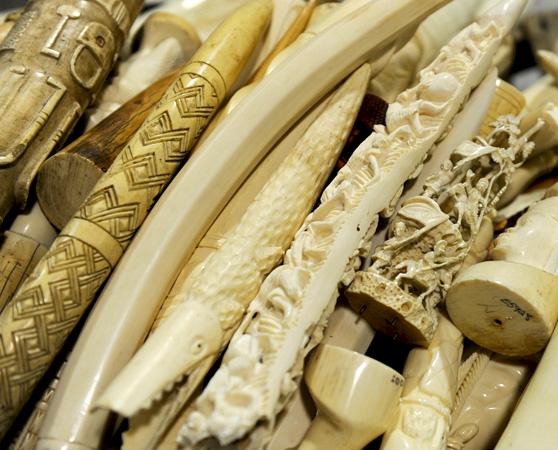 Seized ivory products © Jamie Cotten / IFAW / WWF-US