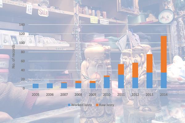 Nhập khẩu ngà voi chế tác và ngà voi thô cho mục đích thương mại vào Hồng Kông, 2005–2015