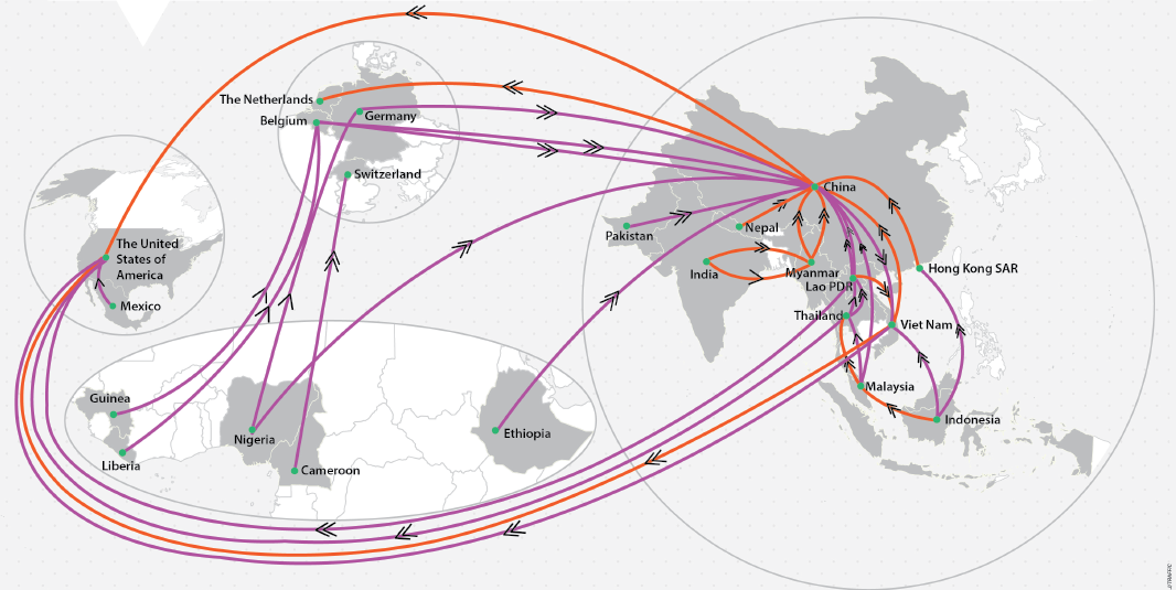 The top global pangolin trafficking routes observed between 2010 and 2015 that have been used five times or more in international trafficking incidents. Routes in orange have been used consecutively five years or more