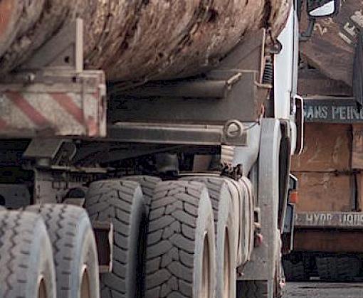 Uganda hosts 6th annual forum on illegal timber trade