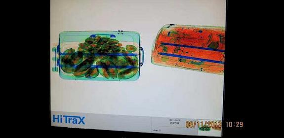 Tortoises X-rayed inside a suitcase © Panjit Tansom / TRAFFIC 