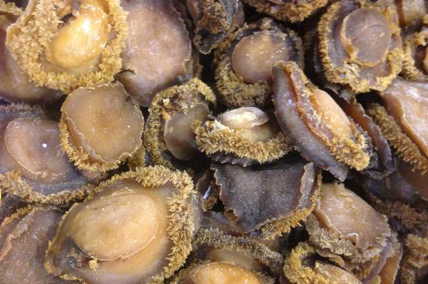 Dried abalone stored in a glass jar in Hong Kong © Wilson Lau / TRAFFIC