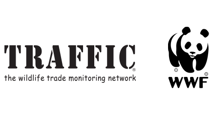 tackling the wildlife trafficking supply chain