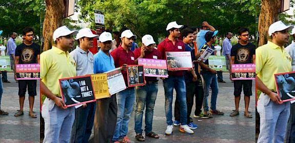Volunteers and supporters holding placards with messages related to wildlife conservation © WWF India