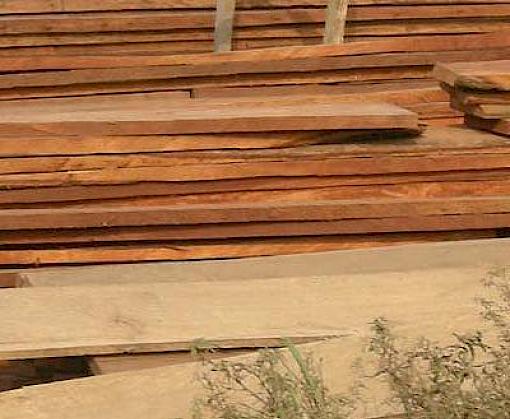Kenya hosts timber trade forum