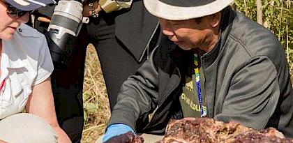Experts agree to enhanced international DNA testing of rhinos at South African Workshop