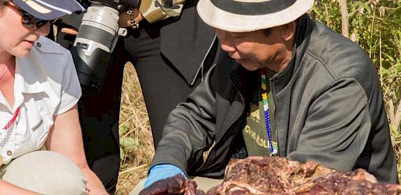 Forensics experts sampling a rhino carcass © Simon Robertson